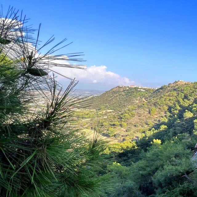 Gallery 2 Pissouri