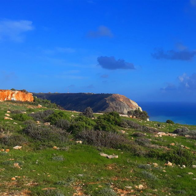 Pissouri Gallery